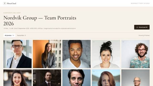 Preview of the Professional gallery layout